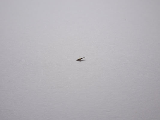 New IWC Caliber 93 Balance Staff