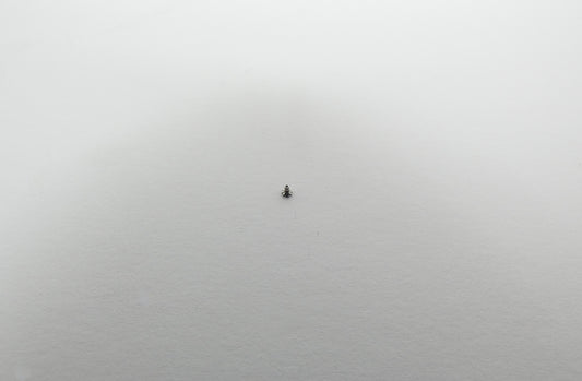 New IWC Caliber 92 Cannon Pinion Low